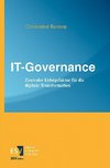 IT-Governance