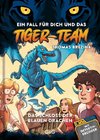 Tiger Team 02 - Das Schloss der blauen Drachen