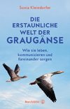 Die erstaunliche Welt der Graugänse