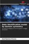 Data identification model by domain symmetry