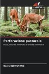 Perforazione pastorale