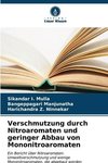 Verschmutzung durch Nitroaromaten und geringer Abbau von Mononitroaromaten