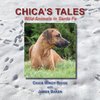 Chica's Tales, Wild Animals in Santa Fe