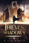 Of Thieves and Shadows