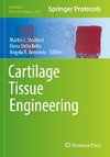 Cartilage Tissue Engineering