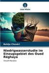 Niedrigwasserstudie im Einzugsgebiet des Oued Réghaya