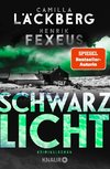 Schwarzlicht