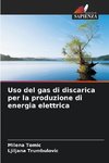 Uso del gas di discarica per la produzione di energia elettrica