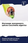 Izuchenie zhiznennogo cikla Coccinella algerica