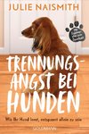 Trennungsangst bei Hunden