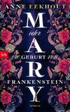 Mary oder die Geburt von Frankenstein