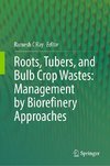 Roots, Tubers, and Bulb Crop Wastes: Management by Biorefinery Approaches