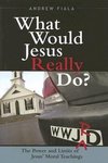 What Would Jesus Really Do?