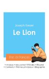 Réussir son Bac de français 2024 : Analyse du roman Le Lion de Joseph Kessel