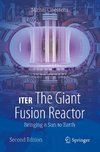 ITER: The Giant Fusion Reactor