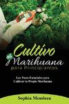 Cultivo de  Marihuana  Para Principiantes