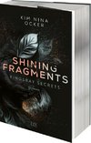 Shining Fragments