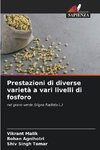 Prestazioni di diverse varietà a vari livelli di fosforo