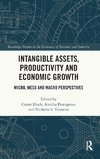 Intangible Assets, Productivity and Economic Growth