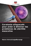 Ceratonia siliquacafé pour aider à éliminer les problèmes de stérilité masculine