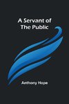 A Servant of the Public