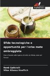 Sfide tecnologiche e opportunità per l'erba mate ombreggiata