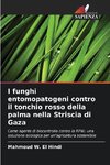 I funghi entomopatogeni contro il tonchio rosso della palma nella Striscia di Gaza