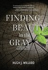 Finding Beauty in the Gray