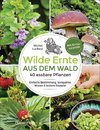 Wilde Ernte aus dem Wald - 40 essbare Pflanzen - einfache Bestimmung, kompaktes Wissen und leckere Rezepte