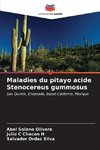 Maladies du pitayo acide Stenocereus gummosus