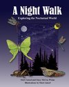 A Night Walk