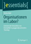 Organisationen im Labor?