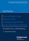 Grundlagen des Kommunalverfassungsrechts in Schleswig-Holstein