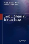 David B. Zilberman: Selected Essays