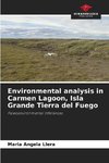 Environmental analysis in Carmen Lagoon, Isla Grande Tierra del Fuego