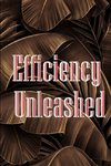 Efficiency Unleashed