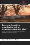 Fasciola hepatica: monitoring using geoprocessing and study