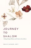 Journey to Shalom