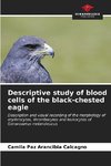 Descriptive study of blood cells of the black-chested eagle