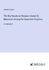 The Boy Scouts on Sturgeon Island; Or, Marooned Among the Game-fish Poachers