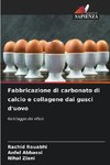 Fabbricazione di carbonato di calcio e collagene dai gusci d'uovo