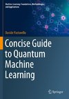 Concise Guide to Quantum Machine Learning