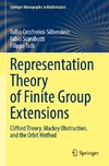 Representation Theory of Finite Group Extensions