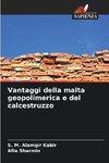 Vantaggi della malta geopolimerica e del calcestruzzo