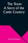 The Texan A Story of the Cattle Country