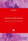 Frontiers in Hydrocephalus