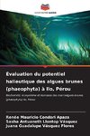 Évaluation du potentiel halieutique des algues brunes (phaeophyta) à Ilo, Pérou