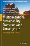 Multidimensional Sustainability: Transitions and Convergences