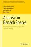 Analysis in Banach Spaces