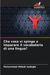 Che cosa vi spinge a imparare il vocabolario di una lingua?